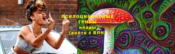 дурь Абинск