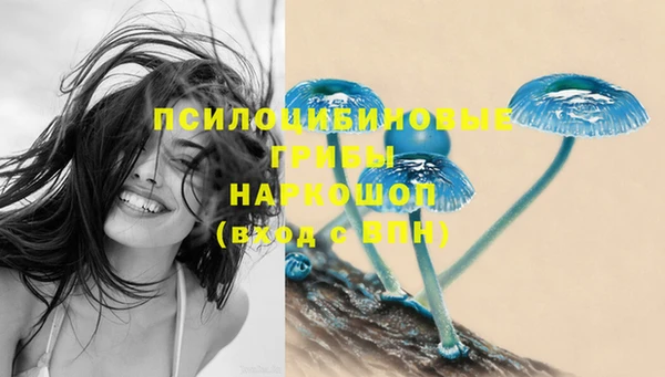 дурь Абинск