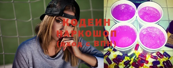молекула духа Алзамай
